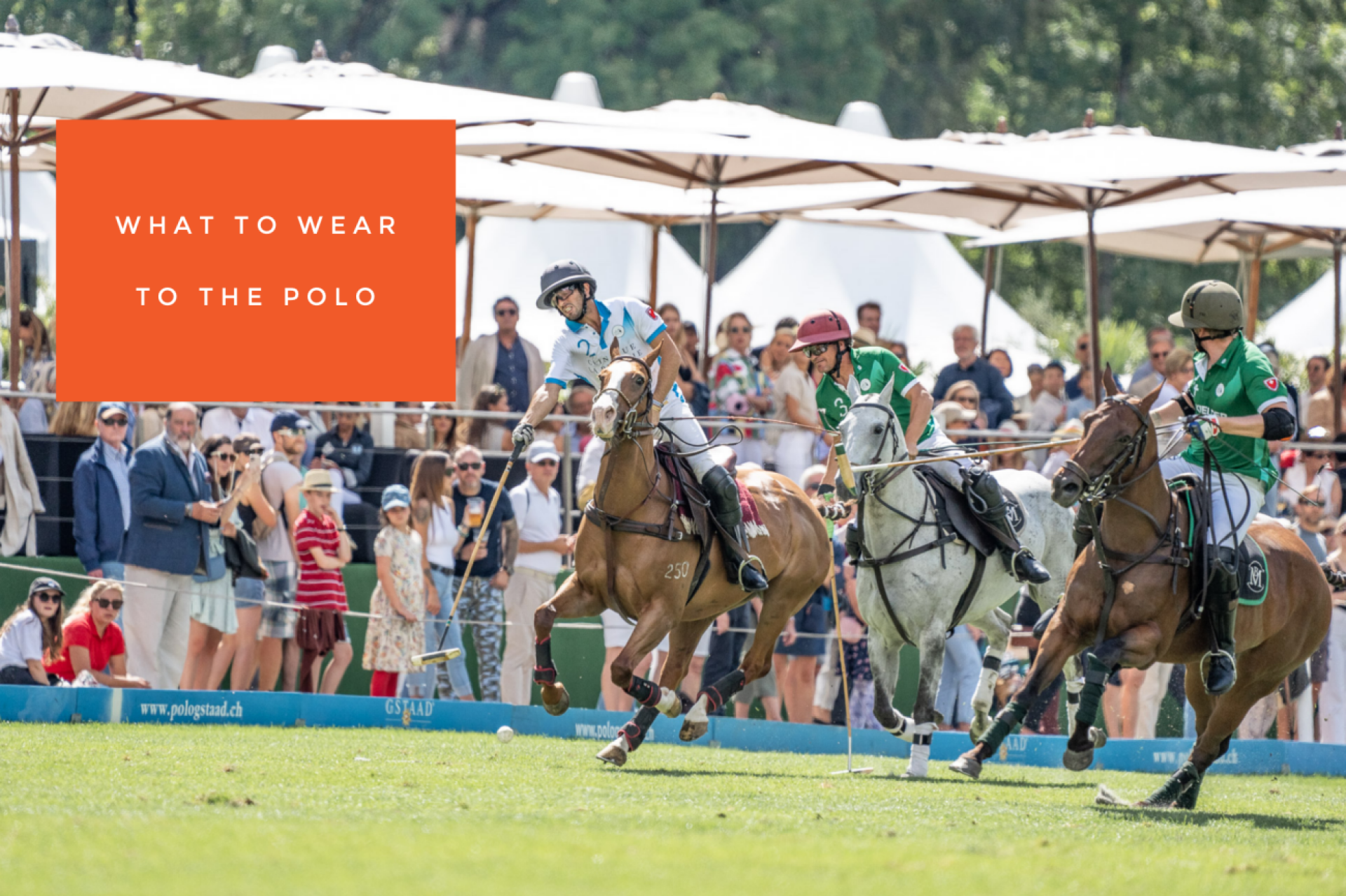 The Polo spirit is bold – dare to add a splash of colour | Photo: Kathrin Gralla