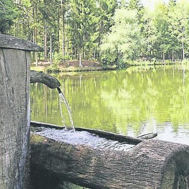 Unterwegs am Lindenberg