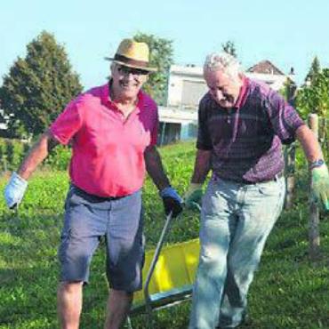 «Göttliches» aus Niederwil - Gemeinsam geht es besser: Die vollen Schlitten werden zum Bottich gefahren.