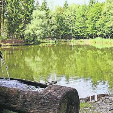 Unterwegs am Lindenberg - Viele schöne Momente: So findet der Mittagshalt beim Feldenmoos statt. Bild: zg