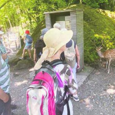 55plus in zwei Gruppen unterwegs - Im Tierpark in Arth-Goldau gab es viel zu entdecken.