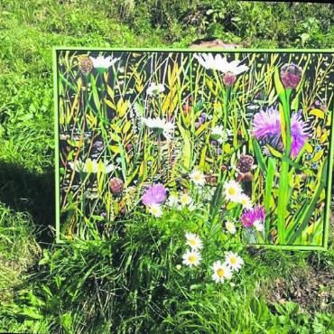 Ganzer Elan für die Kunst - Sonja Hess erstellt unter anderem feinste Bilder auf Seide. Bild: zg