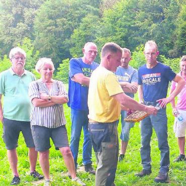 Bienensummen und Sägenbrummen - Philipp Heller zeigt und erklärt das Leben der friedliebenden Buckfast-Bienen.