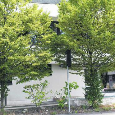 «So funktionieren Kulturvereine» - Die Gesamtsanierung ist voll in Gang: Ab Mitte 2024 soll im Restaurant Chappelehof (unten rechts) wieder eingekehrt werden können. Bild: wm