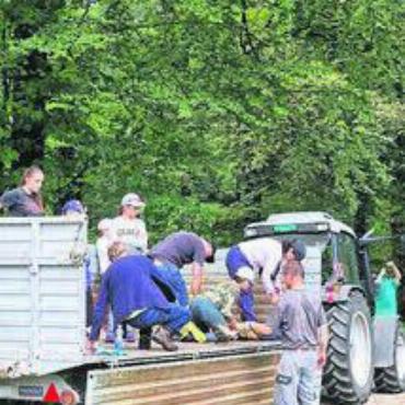 Gemeinsam gegen Neophyten - Viele Freiwillige halfen mit, die Neophyten zu bekämpfen. Bild: gk
