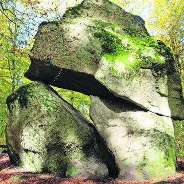 Moore und Moränen - Der Halt beim Erdmannlistein gehört auch bei dieser Exkursion dazu. Bild: zg
