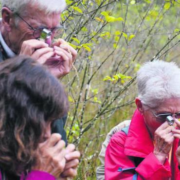 Das Mystische vor der Haustür - Die Teilnehmenden entdeckten mit Lupen winzige Details. Bild: as