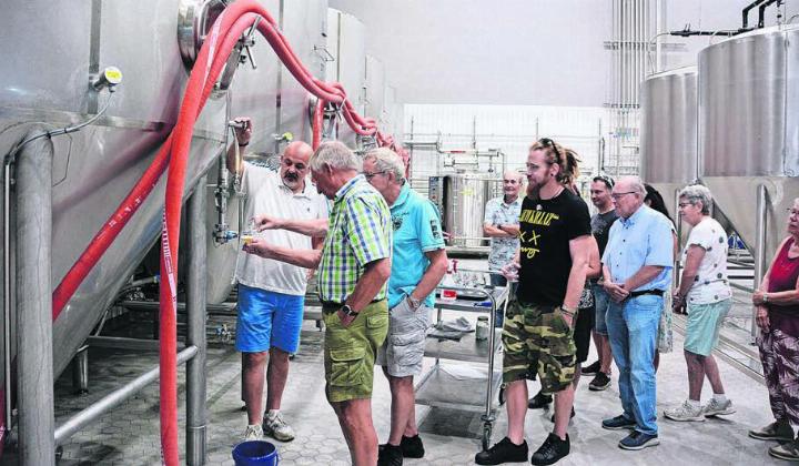 Jungbier frisch ab Tank. Noch nicht ganz ausgereift. Die Bierherstellung ist sehr komplex. Biersommelier Marco Studer erklärt die Produktionsschritte. Bild: red
