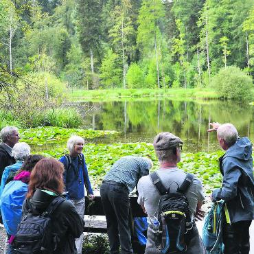 Das Mystische vor der Haustür - Am Cholmoos erklärt Exkursionsleiter Josef Fischer (rechts) die Parklandschaft. Bild: as