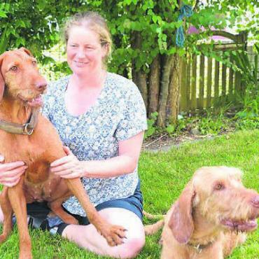 Sich und den Hund fordern - Nicole Schrijver mit ihren zwei Vizslas Julcsi (links) und Oluska zu Hause in Beinwil.