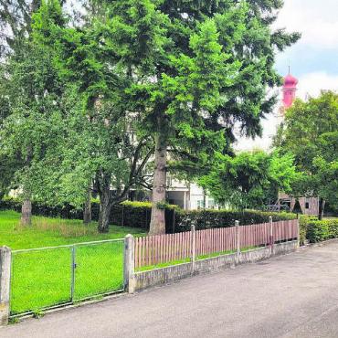 Grosse Chance für Gemeinde - Ideal gelegen zwischen Gemeindehaus (hinter den Bäumen zu erkennen) und den Schulanlagen bietet die «Peterhanswiese» der Gemeinde viele strategische Entwicklungsmöglichkeiten. Bild: Chregi Hansen