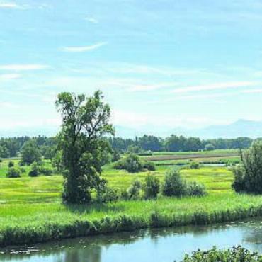 Wichtige Lebensräume - Die Altwasserlandschaft der stillen Reuss bietet vielen Tieren Lebensraum. Bild: zg