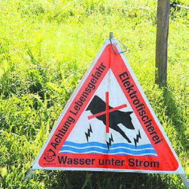Fische mussten umziehen - Für einmal mussten die Hunde auf das Bad in der Bünz verzichten.
