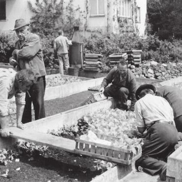 Vom Kolonisten zum Menschen - Vieles hat sich in der Institution Murimoos geändert, die Arbeit jedoch ist teilweise die Gleiche geblieben: Eine Aufnahme von Männern beim Gemüseanbau beim Direktorenhaus, nach 1940. Bild: Celeste Blanc / zg