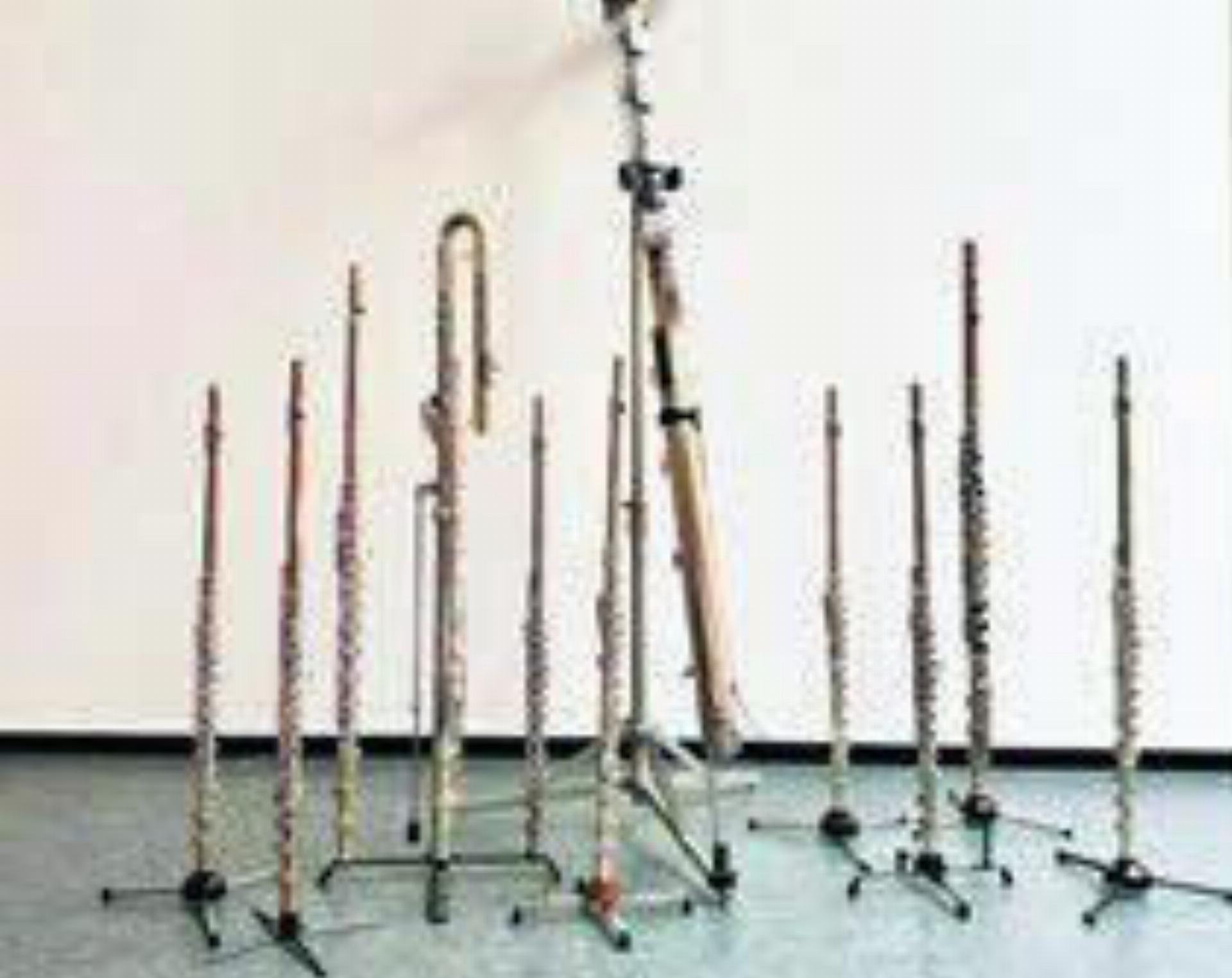 Beim Konzert kommen Flöten aller Art und Grösse zum Einsatz. Bild: zg