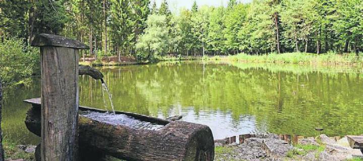 Viele schöne Momente: So findet der Mittagshalt beim Feldenmoos statt. Bild: zg