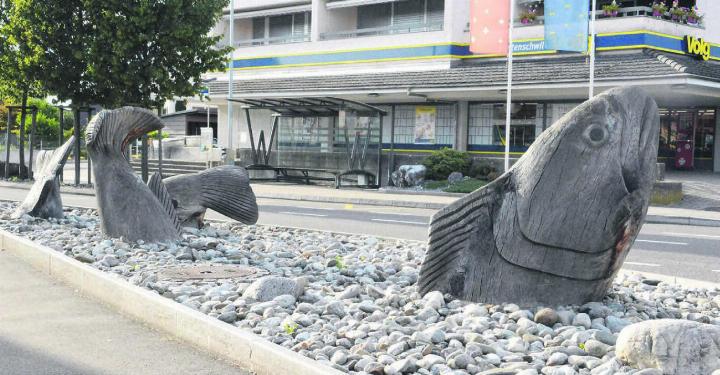 Sie zieren seit 2016 das Dorfzentrum Waltenschwil: die vier tauchenden Fische. Bilder: Celeste Blanc Sie zieren seit 2016 das Dorfzentrum Waltenschwil: die vier tauchenden Fische. Bilder: Celeste Blanc