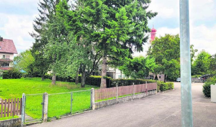 Ideal gelegen zwischen Gemeindehaus (hinter den Bäumen zu erkennen) und den Schulanlagen bietet die «Peterhanswiese» der Gemeinde viele strategische Entwicklungsmöglichkeiten. Bild: Chregi Hansen