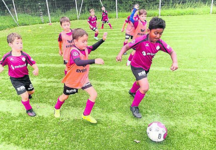 Wer ist wohl zuerst am Ball? Intensiv trainierten die begeisterten Jungspieler. Bild: zg