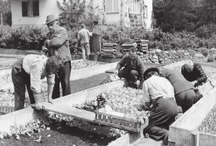 Vom Kolonisten zum Menschen