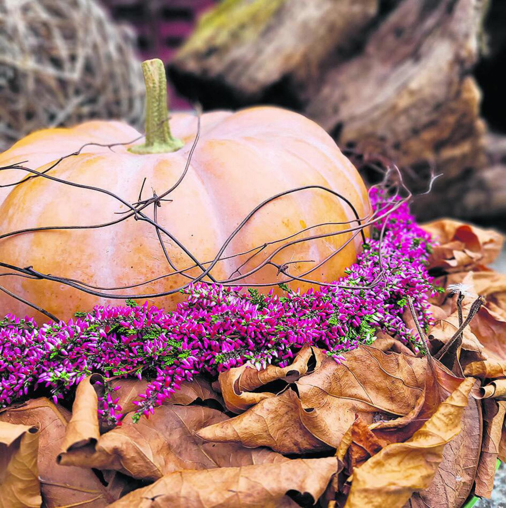 Schöne Herbstdeko herstellen. Foto: zVg