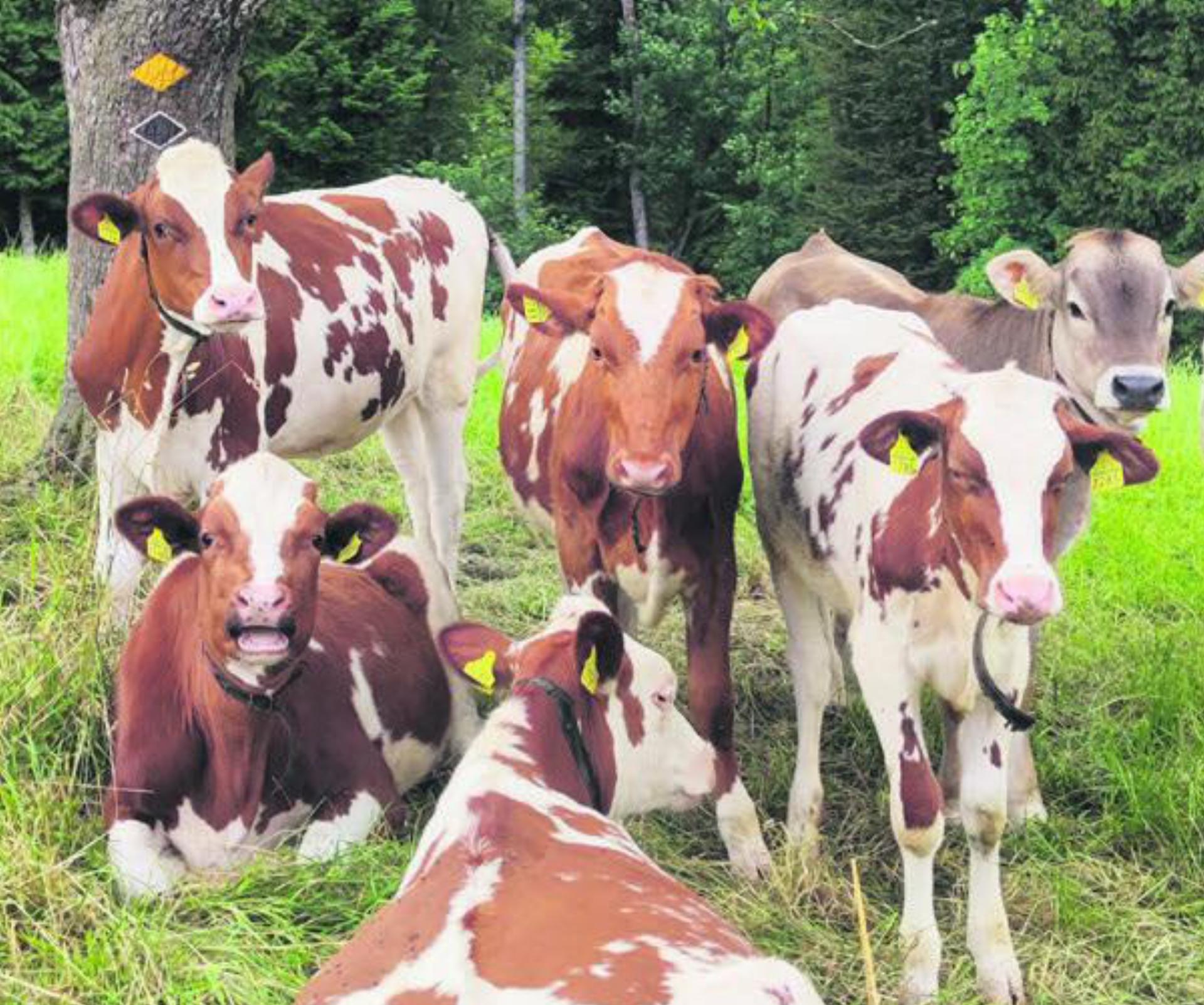 Freundliche Zuschauerinnen am Wegesrand. Foto: zVg