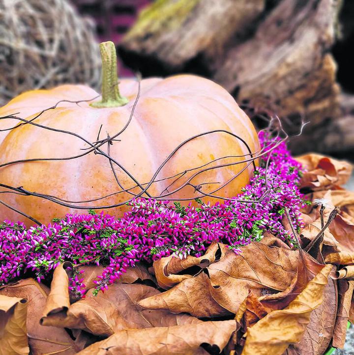 Schöne Herbstdeko herstellen. Foto: zVg