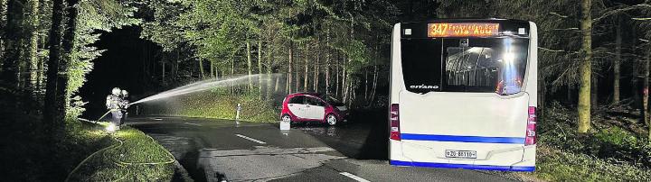 Inszenierter Unfall zwischen einem Elektrofahrzeug und einem Linienbus. Foto: zVg