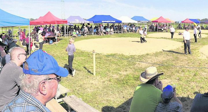 Rund 300 Nachwuchsschwinger und 700 Besucher waren in Mühlau dabei. Fotos: spr