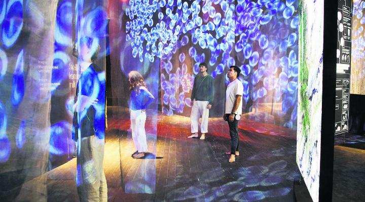 «Natur»-Ausstellung in Lenzburg wird verlängert. Foto: zVg