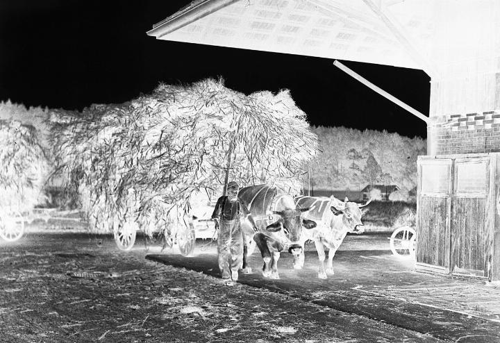 Historisches Bild aus dem Murimoos der Anfangszeiten. Foto: zVg