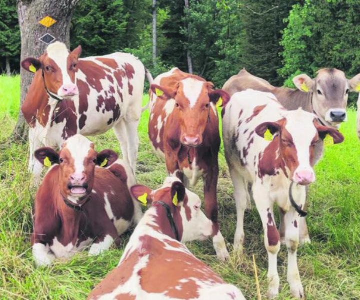 Freundliche Zuschauerinnen am Wegesrand. Foto: zVg