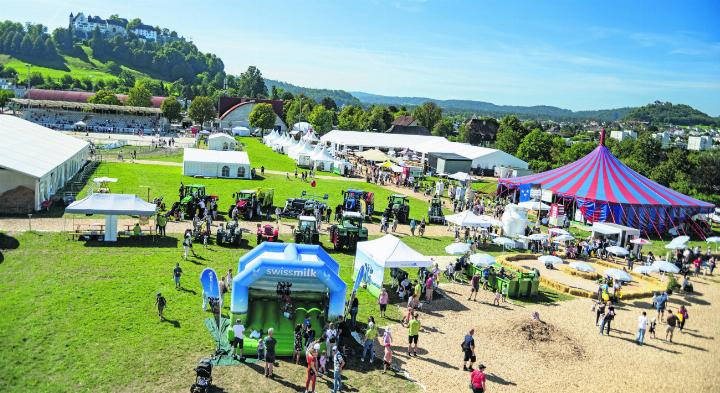 Publikumsmagnet war der Pflanzgarten auf 60’000 m2 . Das Schloss Lenzburg bildete eine schöne Kulisse. Foto: zVg